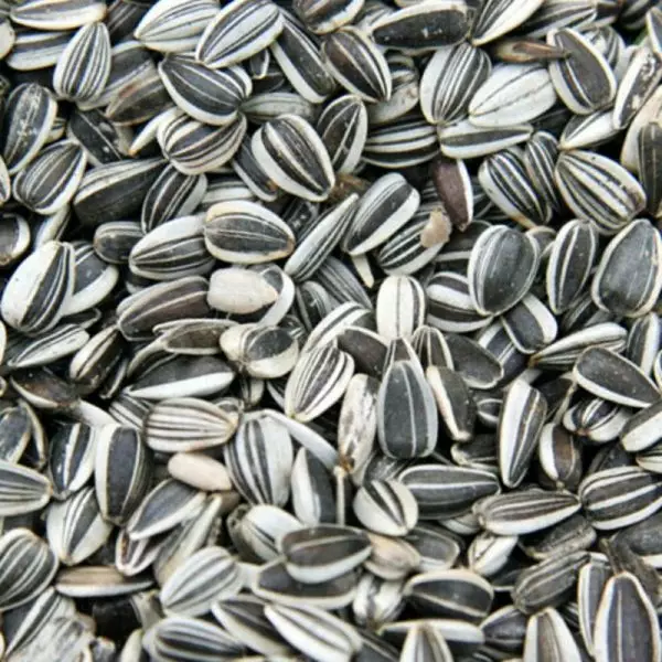 AURINGONKUKAN SIEMEN 10KG - Lintujen ruokinta - 6420614081167 - 1